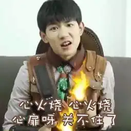 表情包软件下载源哥