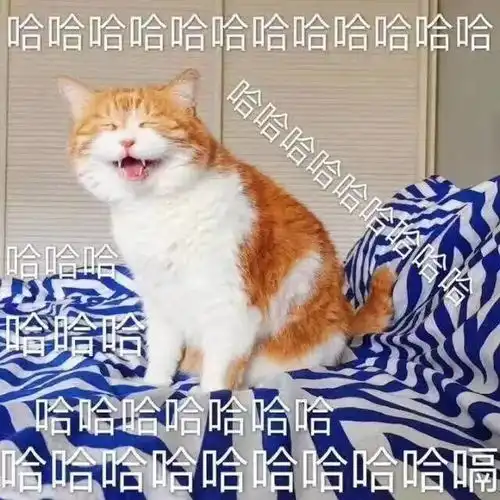  终于三伏天结束,秋老虎也下山了