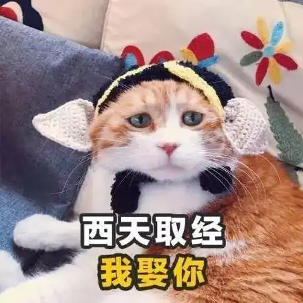 给女神打招呼的表情包表