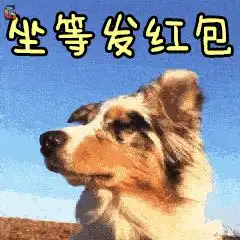 打狗狗表情包拜年