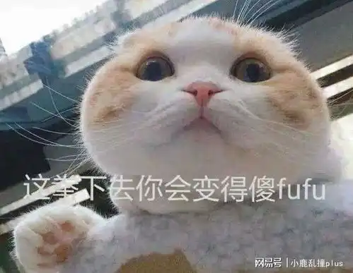 猫咪吓出双下巴表情包吃