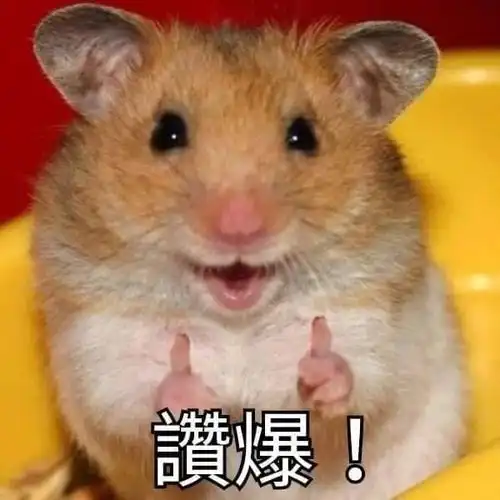  强烈建议大家真的要盖马桶盖