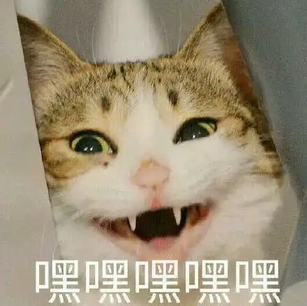 猫咪吓出双下巴表情包沙