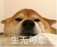  离开传统媒体的印度记者全球化内容平台最具吸引力