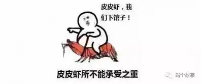  8102,电子商务已落伍,新零售当家做主
