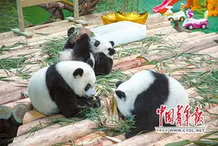  图片新闻