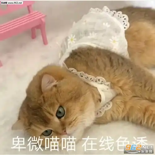  好无聊啊想吃小男孩图片嘴臭选手上线了表情包下载乐游网游戏下载