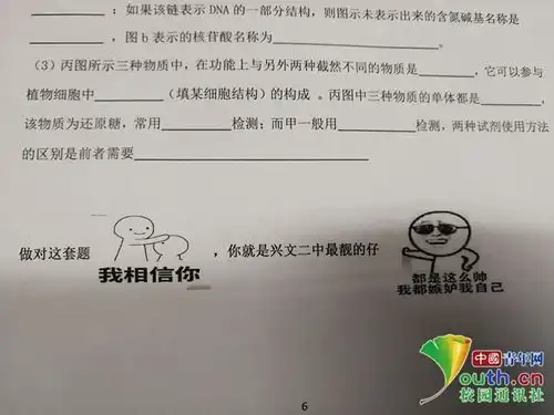  高中现表情包试卷,老师希望激发学生学习兴趣