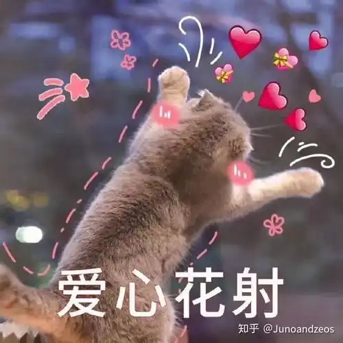  最近搬家了,新房很大,说话都有回声,但独处总觉得有点空虚,晚上更是常常感觉有呼呼声,害怕,我该怎么办