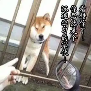  小学英语句型转换,记住这些基础知识就够了