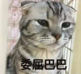 猫咪吓出双下巴表情包别