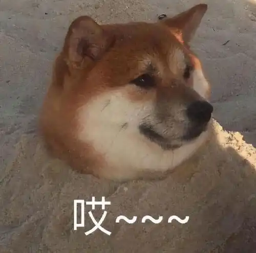  郑爽回家邻居嫌弃遭圈内人抵制,身材暴瘦,她一手好牌打稀烂