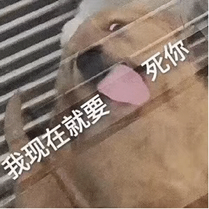  表情包丨破烂男人滚出中国