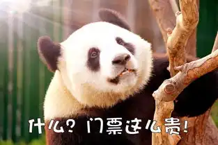  国内旅游都是坑你不知道还有31家5a景区门票免费,近80在南方