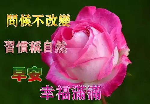 握不住的沙,何不扬了它,早安