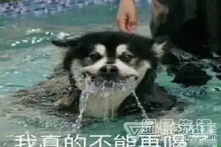  山羊吐舌头动图qq表情包山羊吐舌头表情素材v1.0最新版