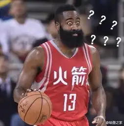 高傲表情包是谁伦纳德