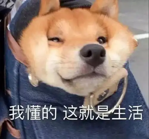  沙雕又可爱的朋友圈文案2.0