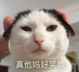  超级可爱的表情包