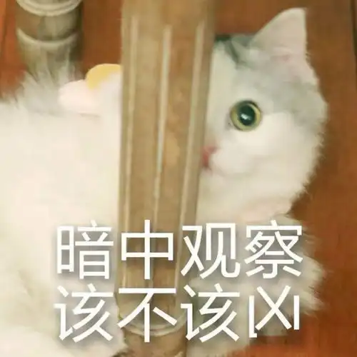  雨雨雨雨雨达州这周的天气太扎心了