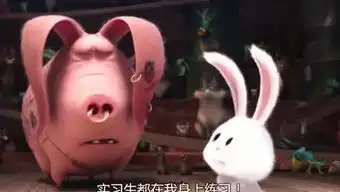  爱宠大机密兔子