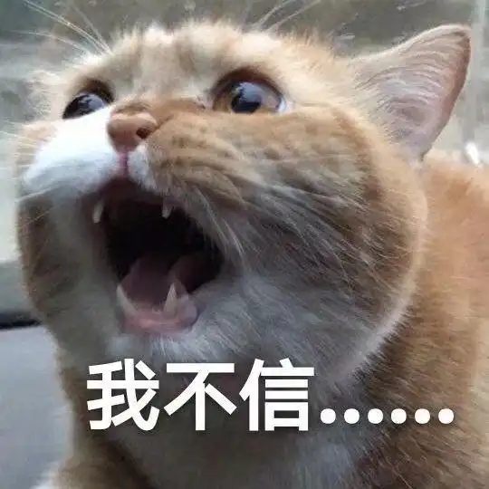 猫咪吓出双下巴表情包群