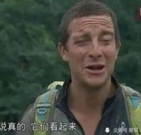  无标题