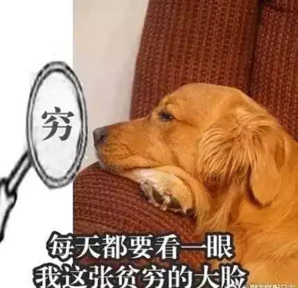 汉服同袍表情包金毛