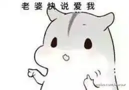  hamham仓鼠表情包下载ham仓鼠讨好老婆表情包9张超萌腾牛下载