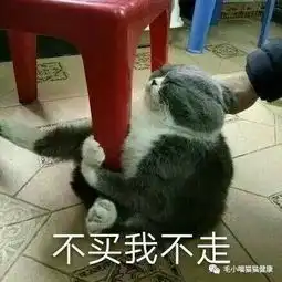  猫狗子你再敢偷吃我的粮,等我吃完这口就送你上天
