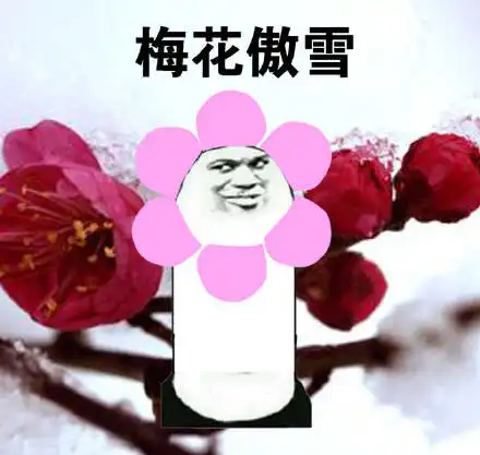  我骄傲表情包