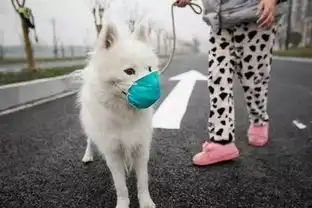 表情包口罩可爱小狗