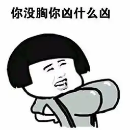  你没胸凶什么凶的表情包