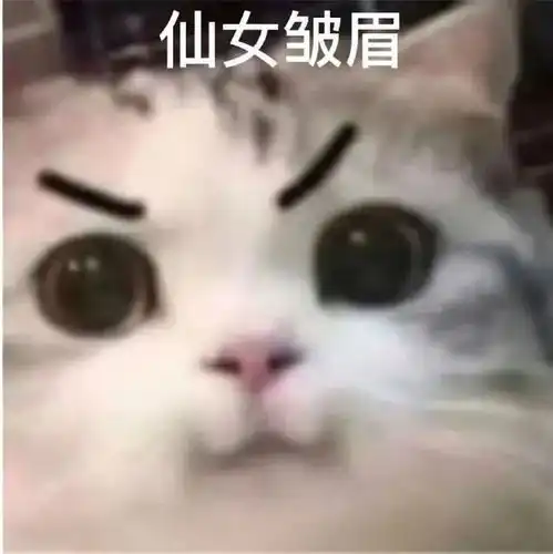  合法但有病的发疯小猫表情包