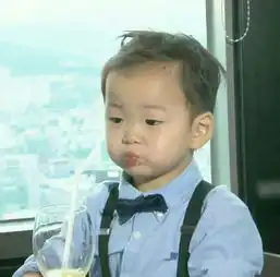  请问这是哪个萌娃图片版本