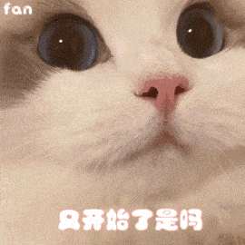  表情包我是一个单纯的人