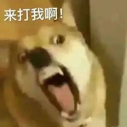  表情包心虚离开拿图点赞吱声