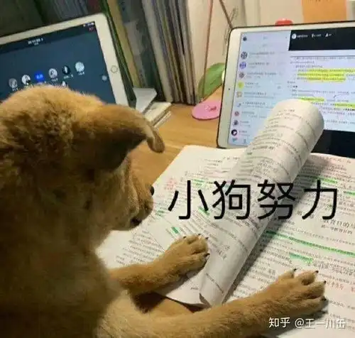  女孩子经常发表情包会让人讨厌嘛