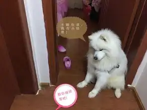  玩具落在女儿房里,狗狗一大早就坐门口等着,表情委屈的不行