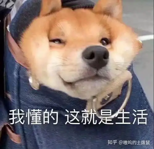  请问下面这个配置得笔记本玩和平精英和cad绘图卡不卡