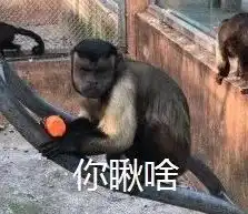  哈哈哈撞脸人类动物园猴子长了张人脸,自带表情包每日一笑1070期