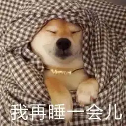 柴犬挨打表情包起床