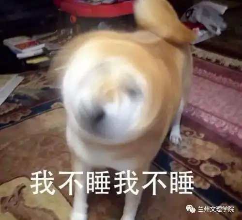 柴犬挨打表情包喷饭