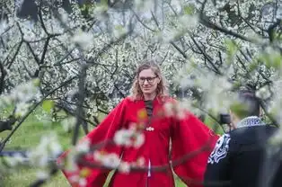  汉服文化正流行歪果仁也爱古风cosplay