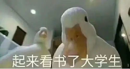  如何消除逾期