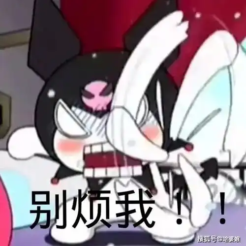  库洛米表情包来啦