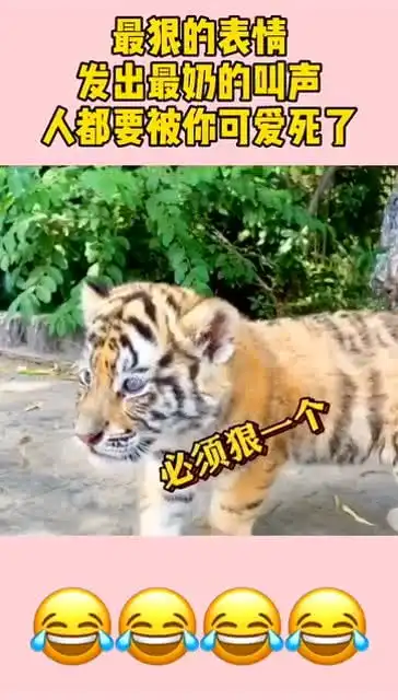  最狠的表情,发出最奶的叫声人都要被你可爱死了