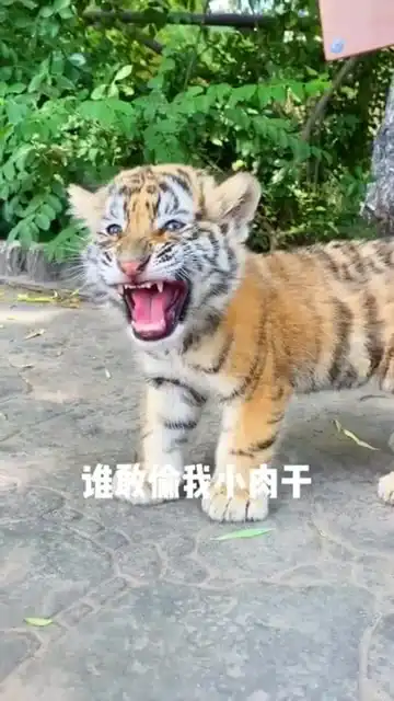发出猛男的声音表情包叫