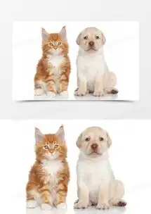  宠物猫咪与宠物狗png图片素材免费下载png格式熊猫办公