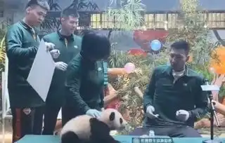  易建联变行走表情包回应怕熊猫不懂它会叫娄艺潇吐槽其身高